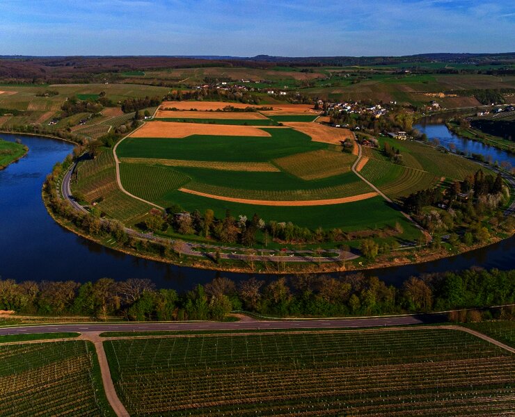 Moselschleife bei Palzem-Wehr