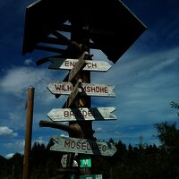 Briedel: Bummkopf - unverlaufbar