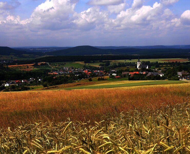 Felderlandschaft in der Mosel-Eifel