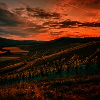 701A114D-28F9-45F1-B628-11E9D611FE1C