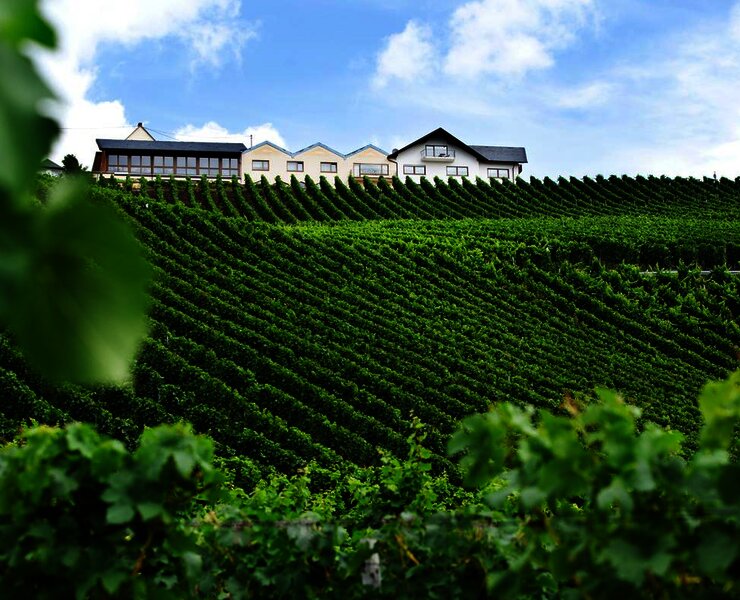 Ansicht des Weinguts