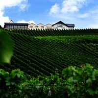 Ansicht des Weinguts