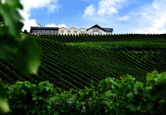 Ansicht des Weinguts