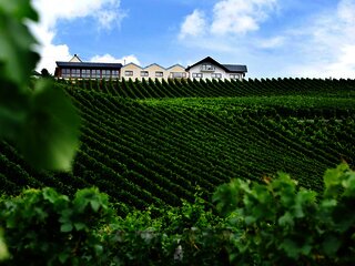 Ansicht des Weinguts