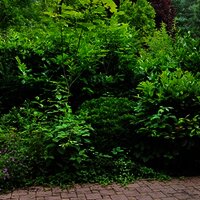 Blick aus dem Wohnzimmer