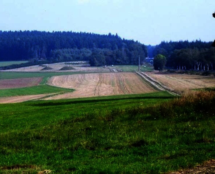 Wald- und Wiesenlandschaft im Hunsrück