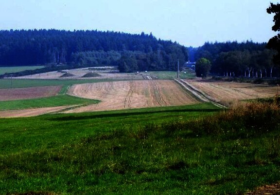 Wald- und Wiesenlandschaft im Hunsrück