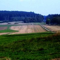 Wald- und Wiesenlandschaft im Hunsrück