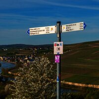 Blick von Rehlingen bei Nittel auf das Moseltal bei Wormeldange (Luxemburg)