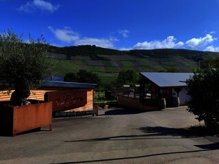 Mosel Camping Bernkastel