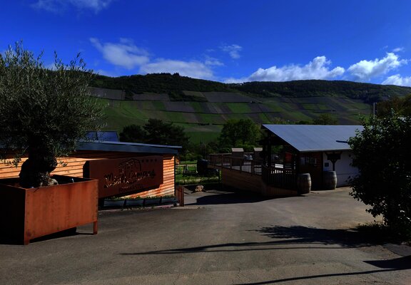 Mosel Camping Bernkastel