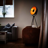 Wohnraum Detail "Das Loft"