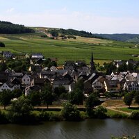 Blick auf den Weinort Erden vom "Treppchen" aus 