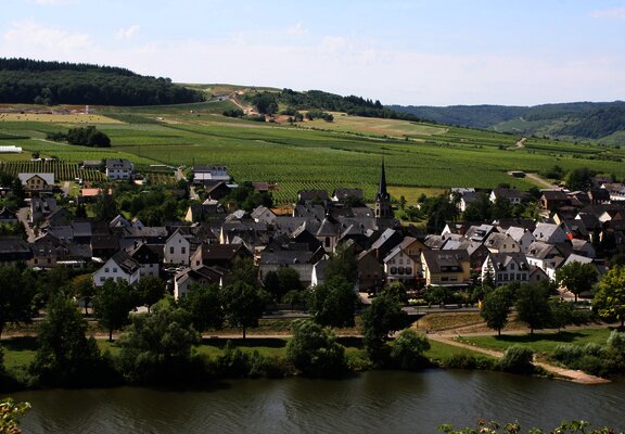 Blick auf den Weinort Erden vom "Treppchen" aus 