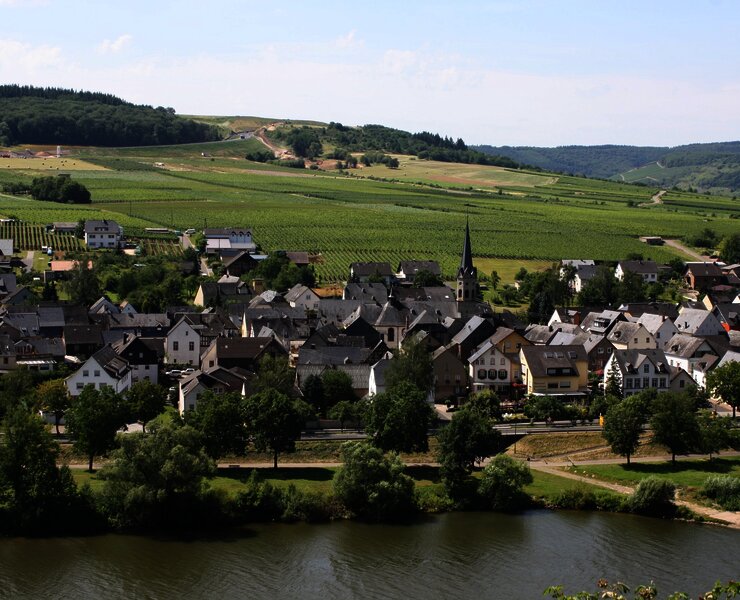 Blick auf den Weinort Erden vom "Treppchen" aus 