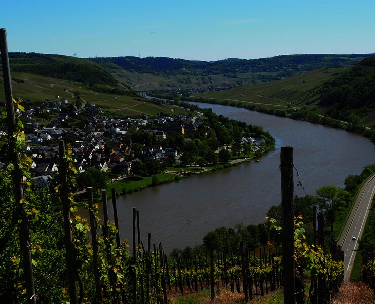 Blick auf Neumagen-Dhron