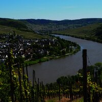 Blick auf Neumagen-Dhron