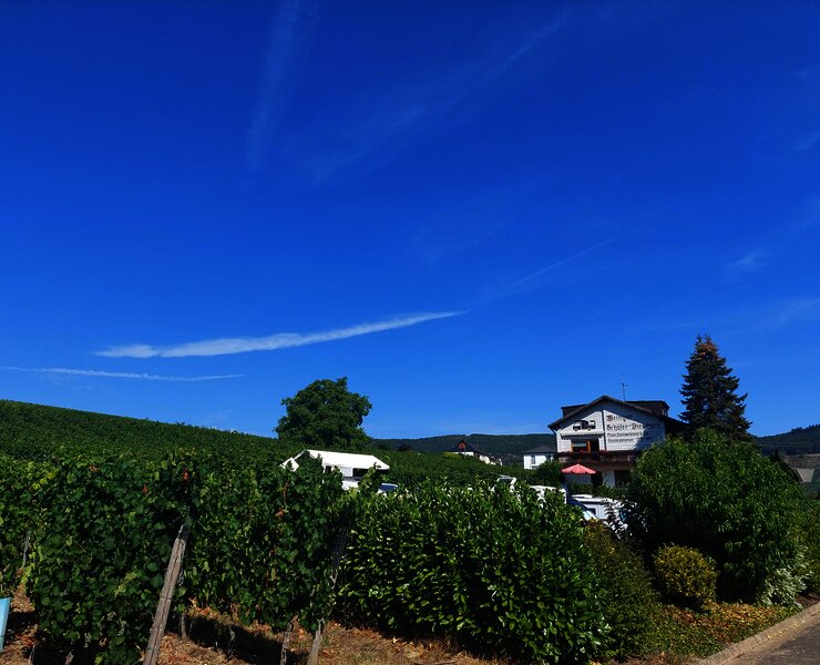 Piesport_WoMoStellplatz_Schäfer_Dienhart