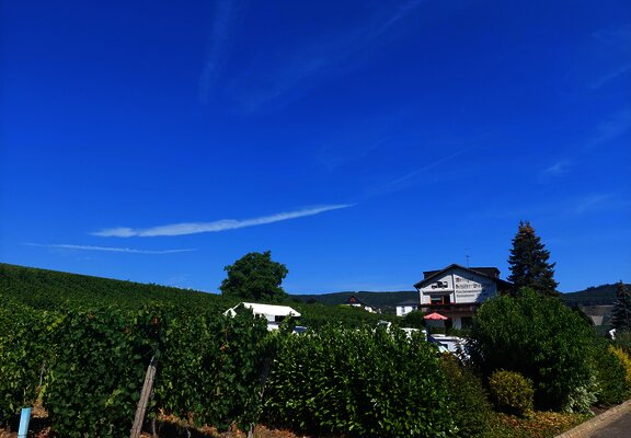 Piesport_WoMoStellplatz_Schäfer_Dienhart