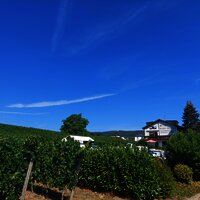 Piesport_WoMoStellplatz_Schäfer_Dienhart