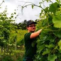 Arbeit im Weinberg