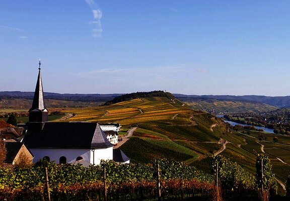 Die Weinberge im Herbst