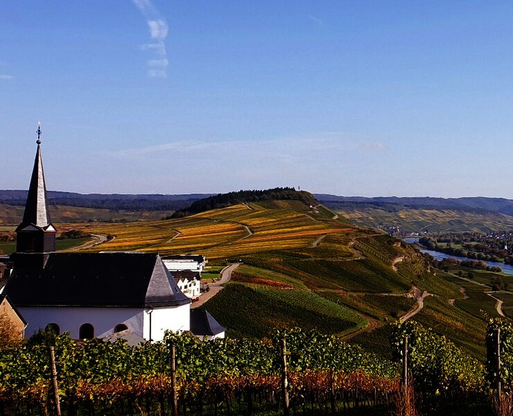 Die Weinberge im Herbst