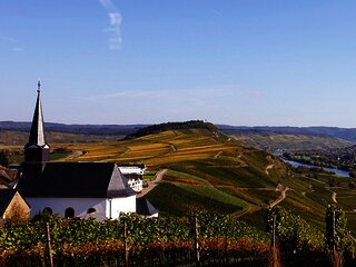 Die Weinberge im Herbst