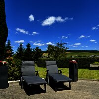 20240609_113641389_iOS