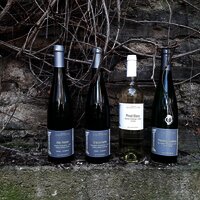 Weinflaschen Weingut Schneider- Kettern