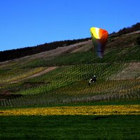 Drachenflieger Maring-Noviand