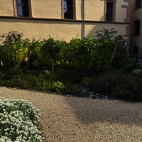 Stadtpark Deinhard´s