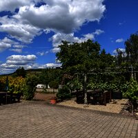 PXL_20220601_130137531