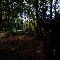 Wandern und Kunst auf dem Kueser Plateau