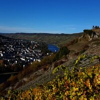 Blick auf die Mosel und Kues