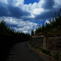 Anstieg durch die Weinberge