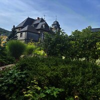 Grünanlage im Stadtpark