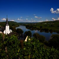 Blick durch die Weinberge auf Kesten