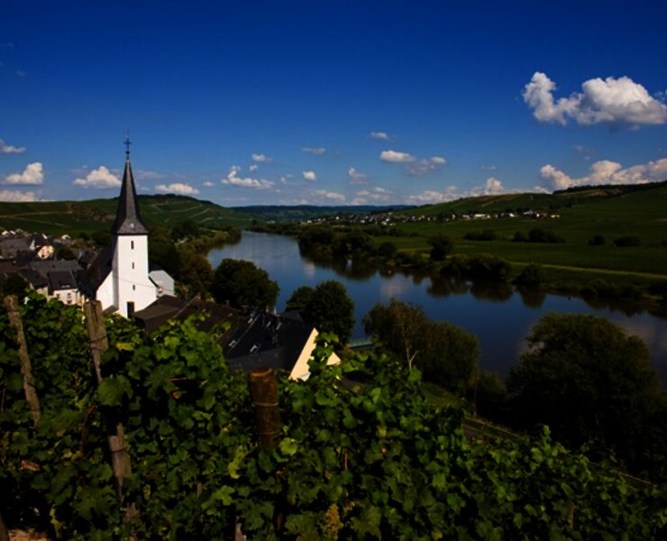 Blick durch die Weinberge auf Kesten