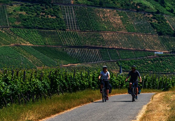Durch das Rebenmeer zwischen Thörnich und Köwerich