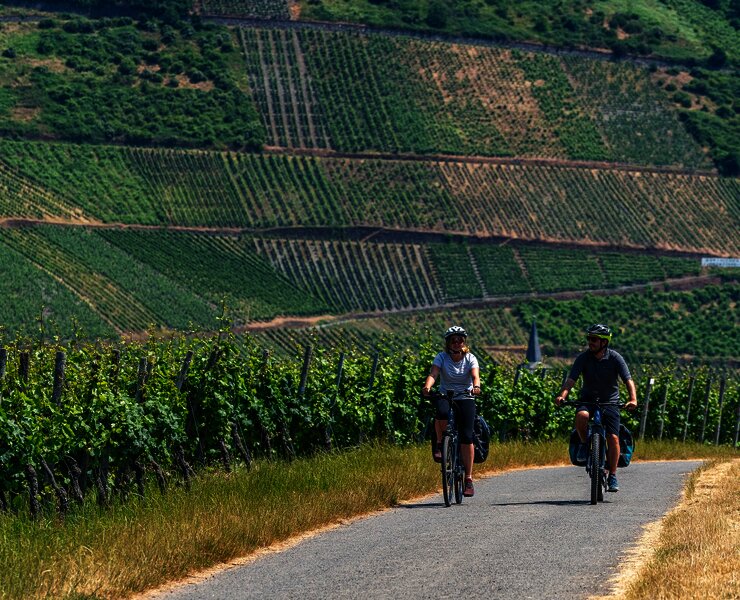 Durch das Rebenmeer zwischen Thörnich und Köwerich