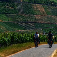 Durch das Rebenmeer zwischen Thörnich und Köwerich