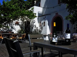 Terrasse Weingut Schneider-Kettern