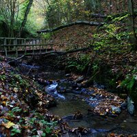 Bachlauf entlang des Weges