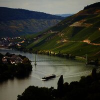 Wehlen an der Mosel