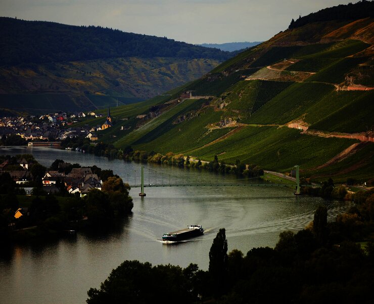 Wehlen an der Mosel