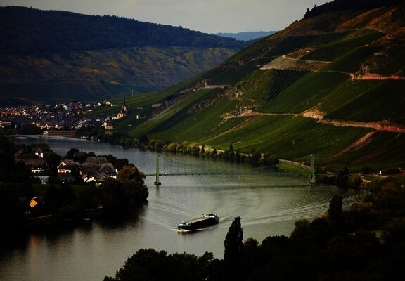 Wehlen an der Mosel