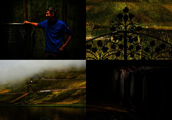 Weingut Studert-Prüm Impressionen