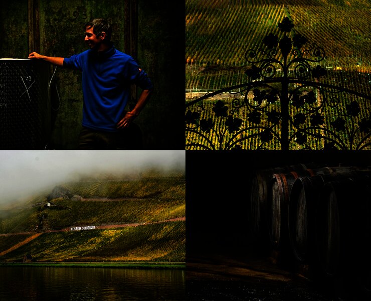 Weingut Studert-Prüm Impressionen