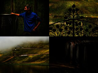 Weingut Studert-Prüm Impressionen